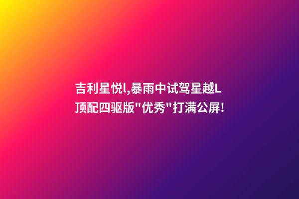 吉利星悦l,暴雨中试驾星越L顶配四驱版"优秀"打满公屏!-第1张-观点-玄机派